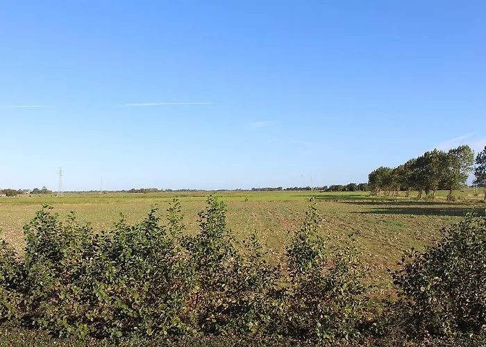 Unterm Reetdach Apartamento Garding